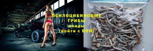 прущий лед Абаза